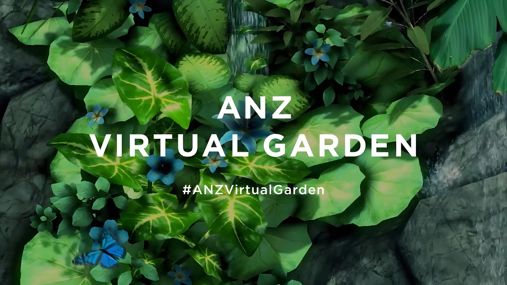 ANZ Virtual Garden